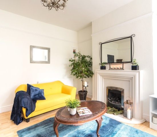 Modern Victorian Living Room