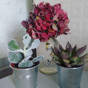 Home Staging using plants