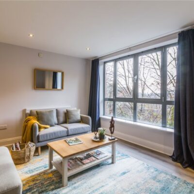 Grey sofa with large rug